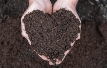 Compost website