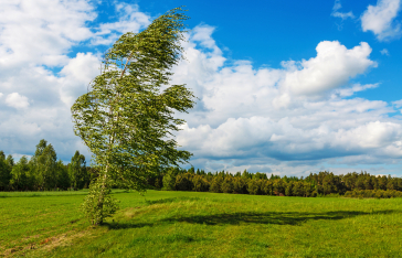 Adobe Stock 178821664